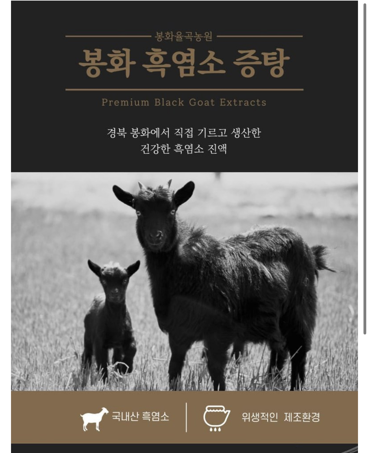 프리미엄 라인업