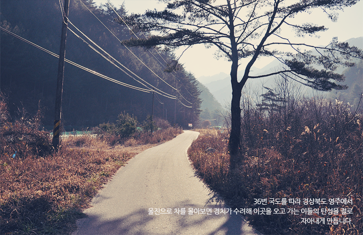 율곡관광농원 전경